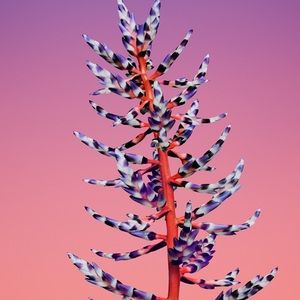 Meet your Posher, Soiree